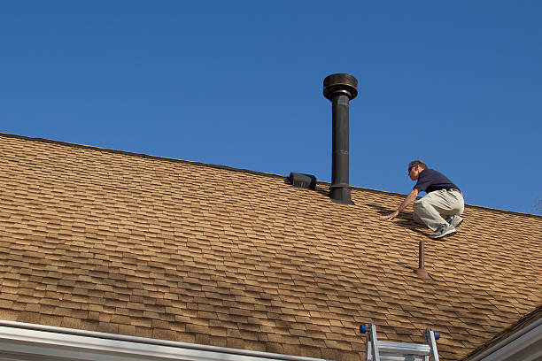 Best Roof Moss and Algae Removal  in Owensville, MO